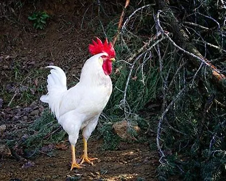 L'Agriturismo Di Montalbino