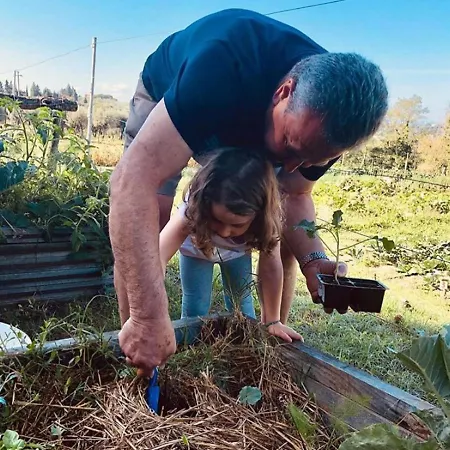 בית חווה L'Agriturismo Di Montalbino מוטספרטולי