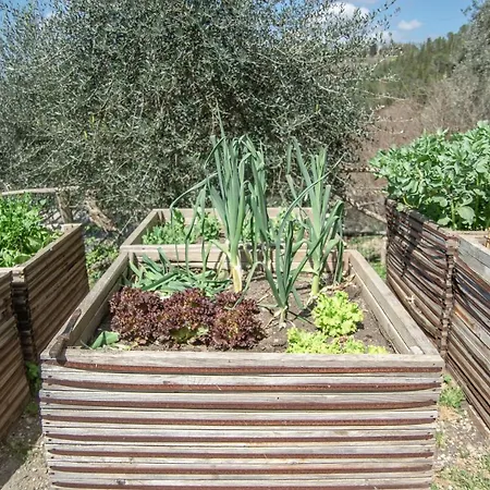 L'Agriturismo Di Montalbino בית חווה *