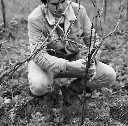 L'agriturismo Di Montalbino Фермерский дом Монтеспертоли