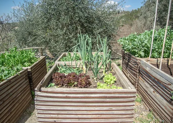 L'agriturismo Di Montalbino Фермерский дом *