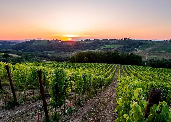 L'agriturismo Di Montalbino * Монтеспертоли