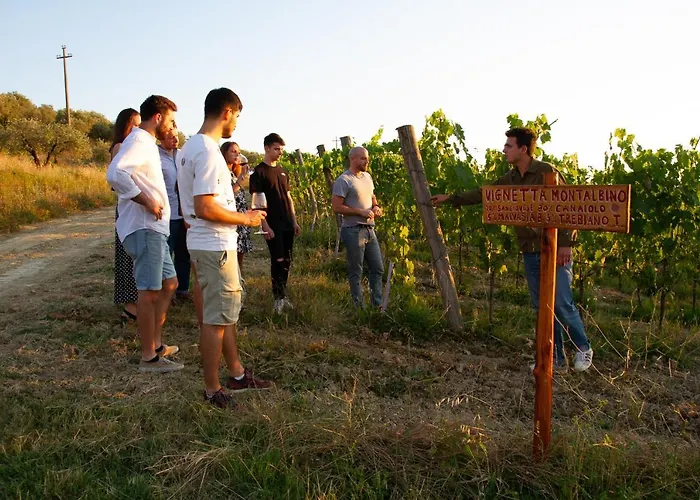 L'agriturismo Di Montalbino Фермерский дом Монтеспертоли